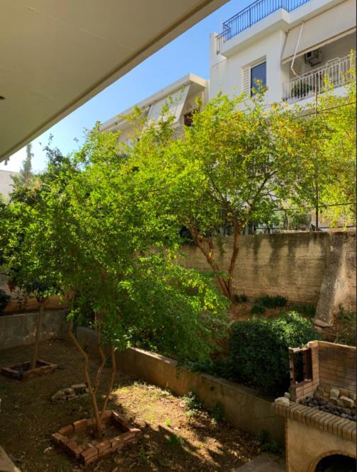 Zoe'S Apartment Bright&Cozy Athens Exterior photo